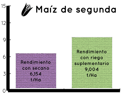 grafico